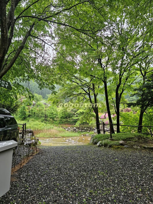 모야의숲 계곡가는길