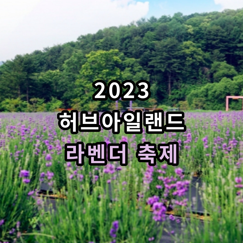 허브아일랜드-라벤더축제