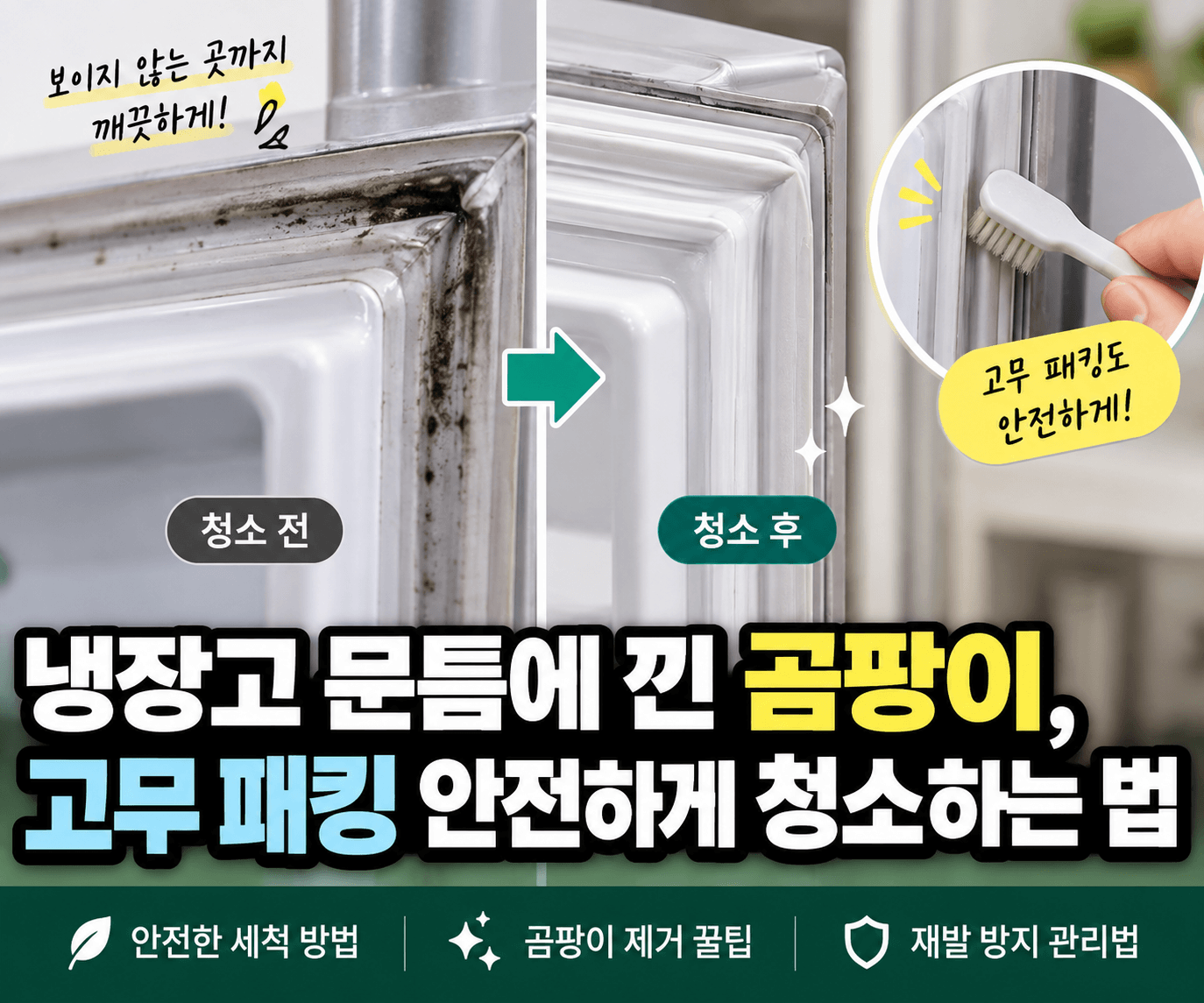 냉장고 문틈에 낀 곰팡이, 고무 패킹 안전하게 청소하는 법