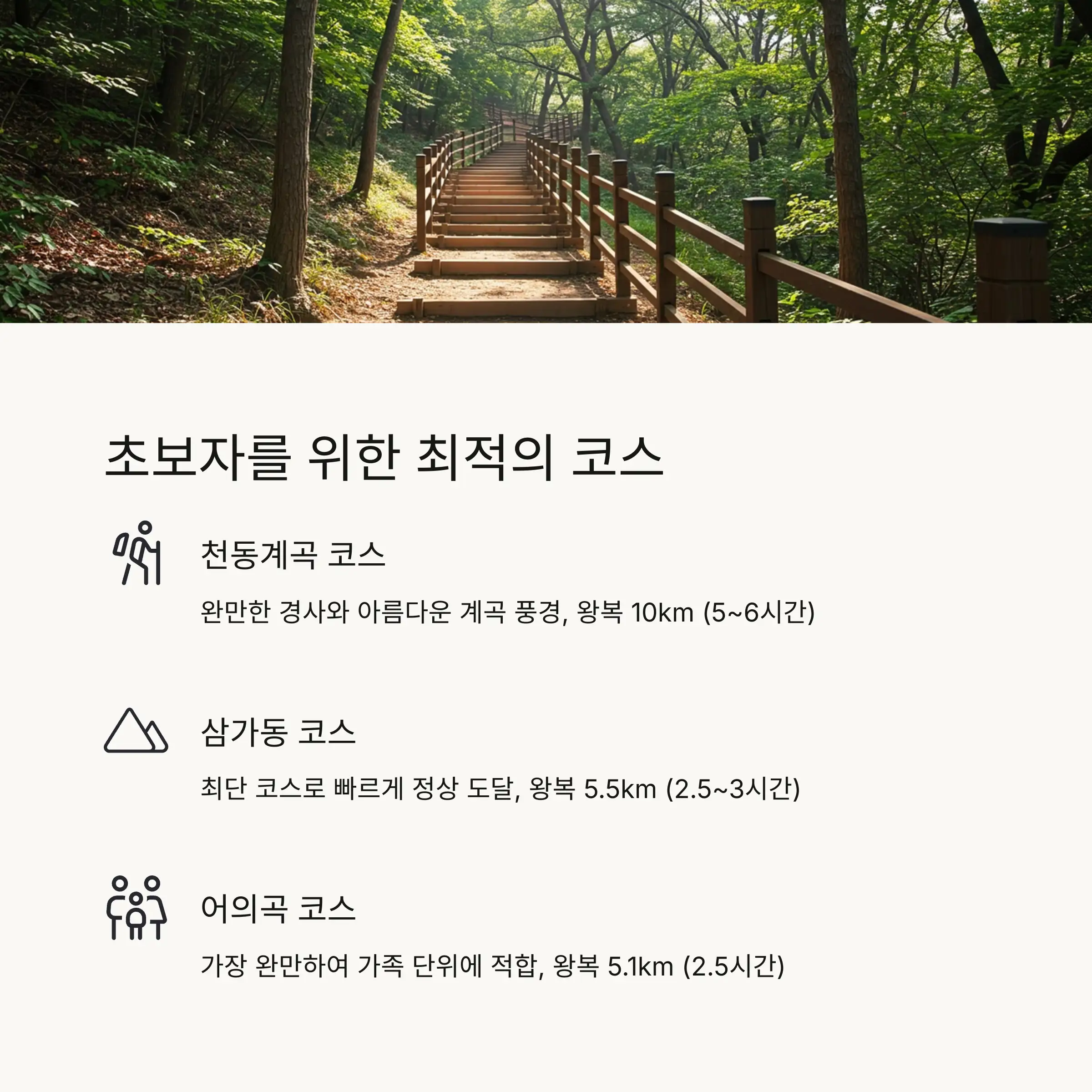🌱 초보자 추천 코스