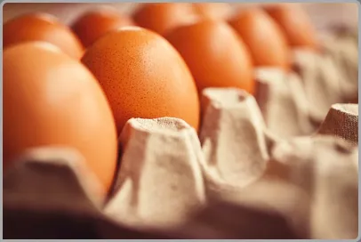 김치전의 성분과 효능 계란