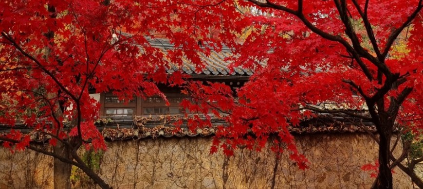 [단풍명소] 가을 여행지 베스트 50 - 서울, 경기도, 충남, 충북, 경북, 경남, 전남, 전북, 강원도, 제주