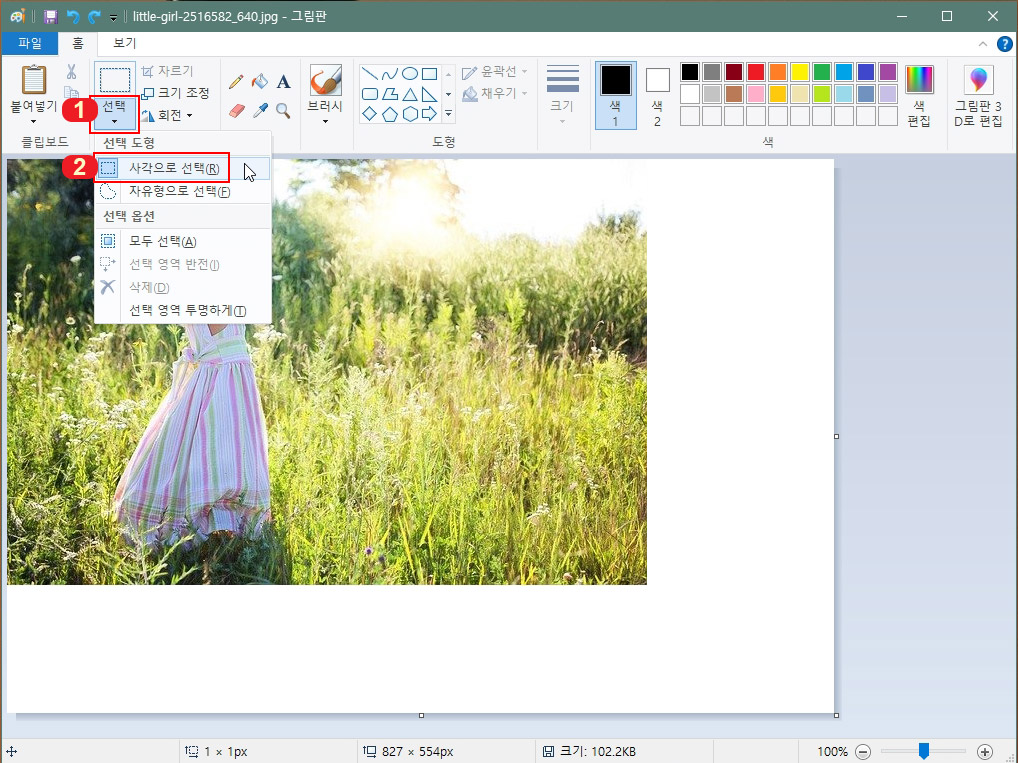 그림판 사진 줄이기
