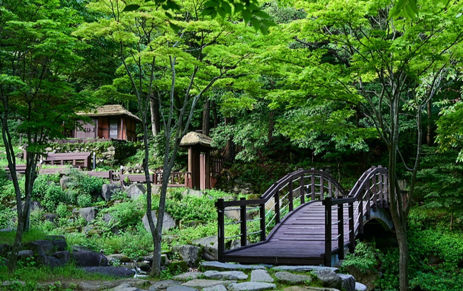 비슬산자연휴양림