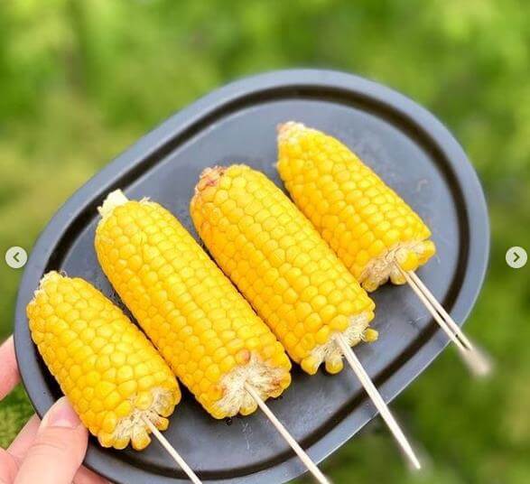 6시내고향-초당옥수수