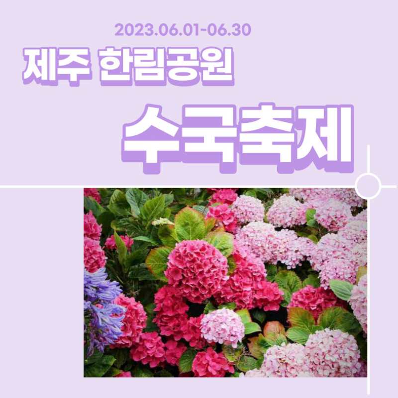 제주 한림공원 수국축제