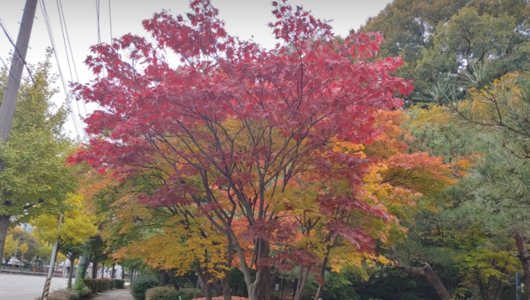 청주 백제유물전시관