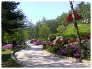 흥부골자연휴양림