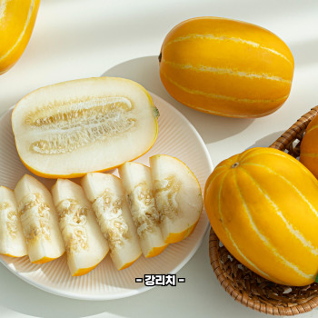 참외껍질 음식물쓰레기 인가요