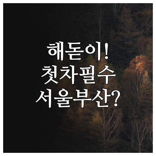 서울 부산 해돋이 대중교통 특별 운행..