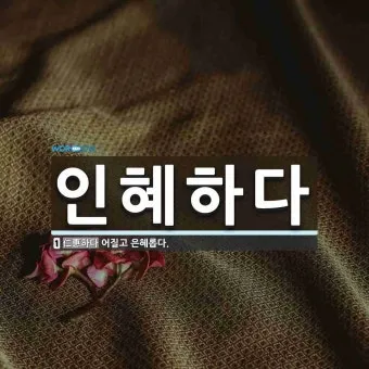 자부 뜻과 며느리 호칭 자부상 손부 사위 상주 관계 설명_18