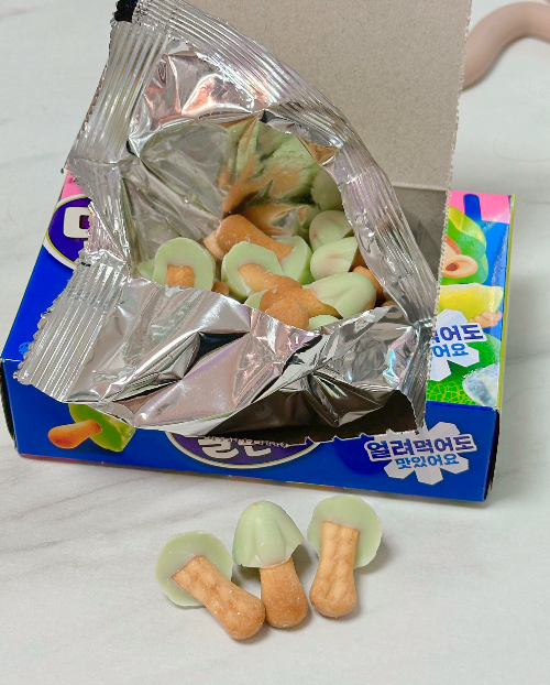 멜론송이 내돈내산