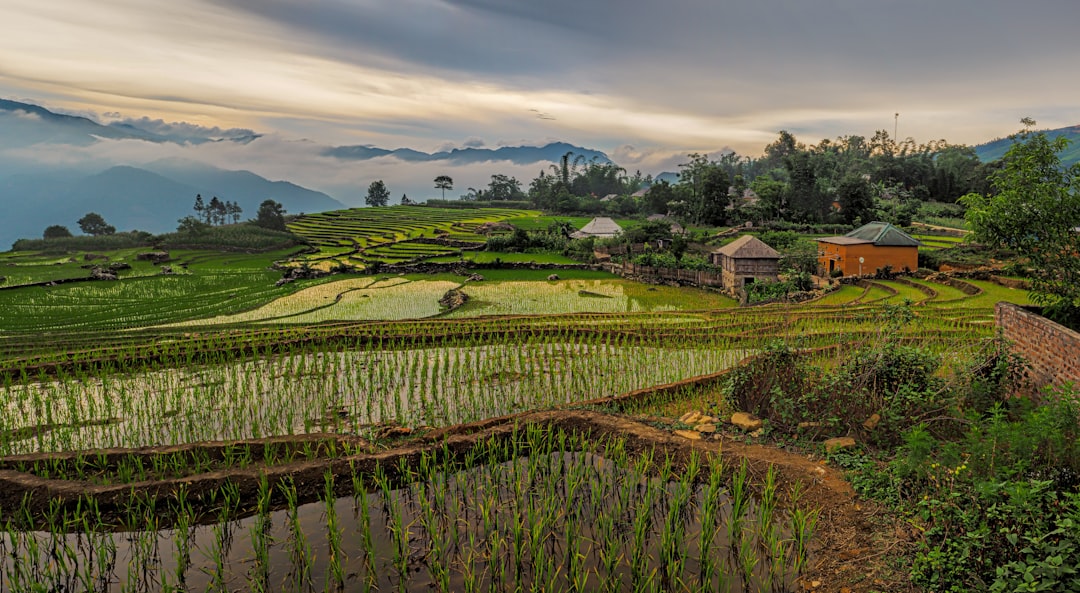 Vietnam Exchange Rate