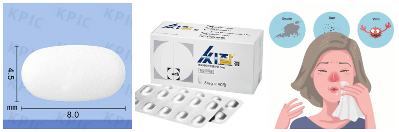 씨잘정, 비염 알레르기 사진