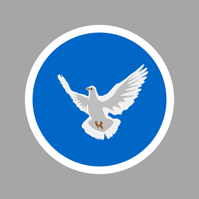 한량, 한량시대, 지적한량, 국방력 순위, 대한민국 국방력