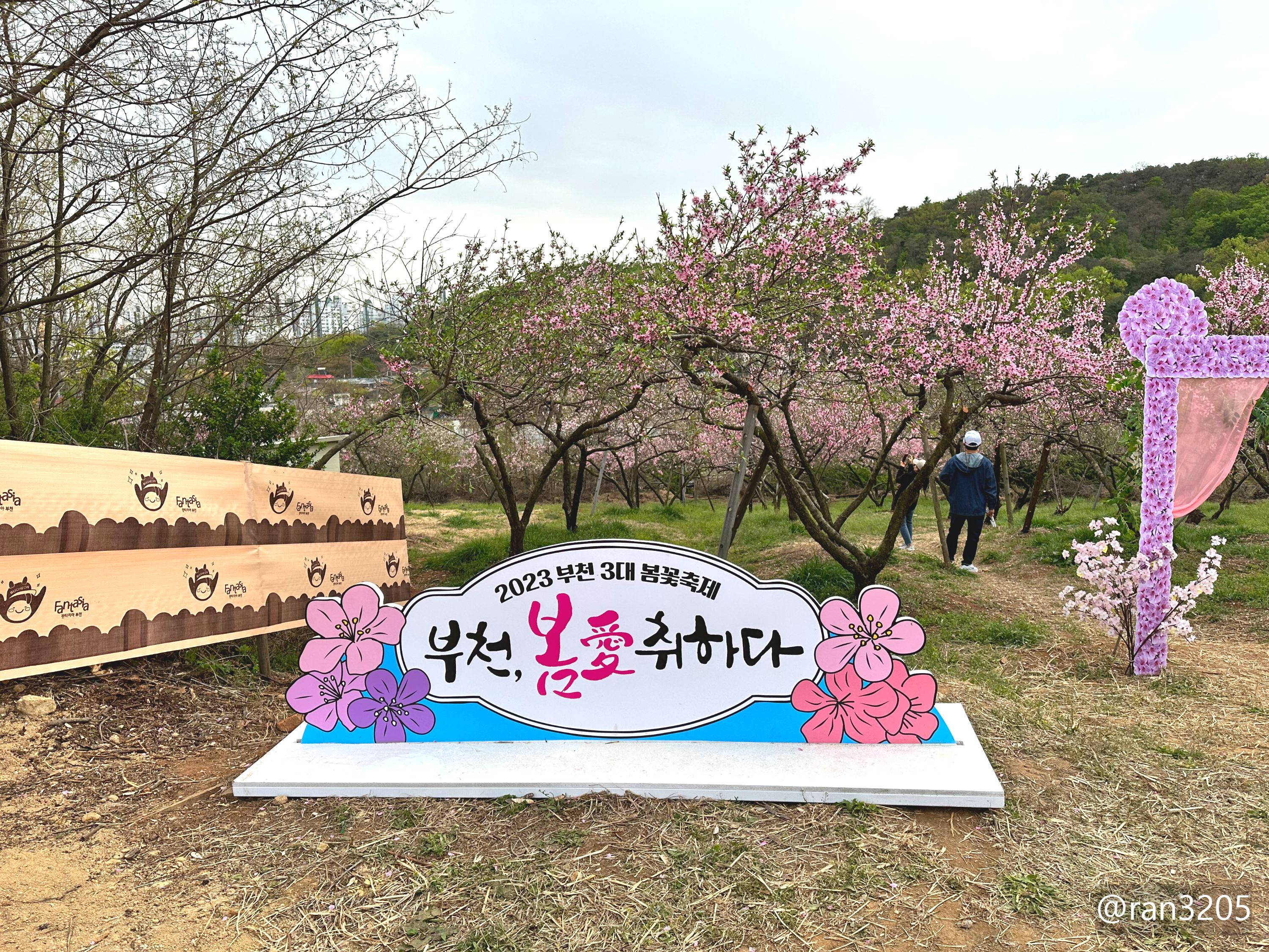 춘덕산 복숭아꽃 축제
