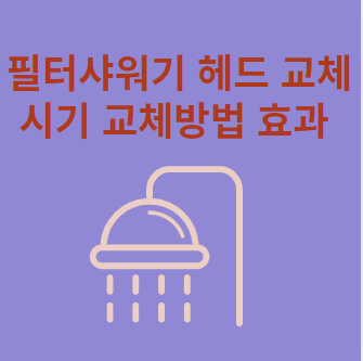 샤워기 필터 샤워기 헤드 교체 시기 방법 효과