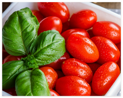 토마토가_몸에_좋은_이유