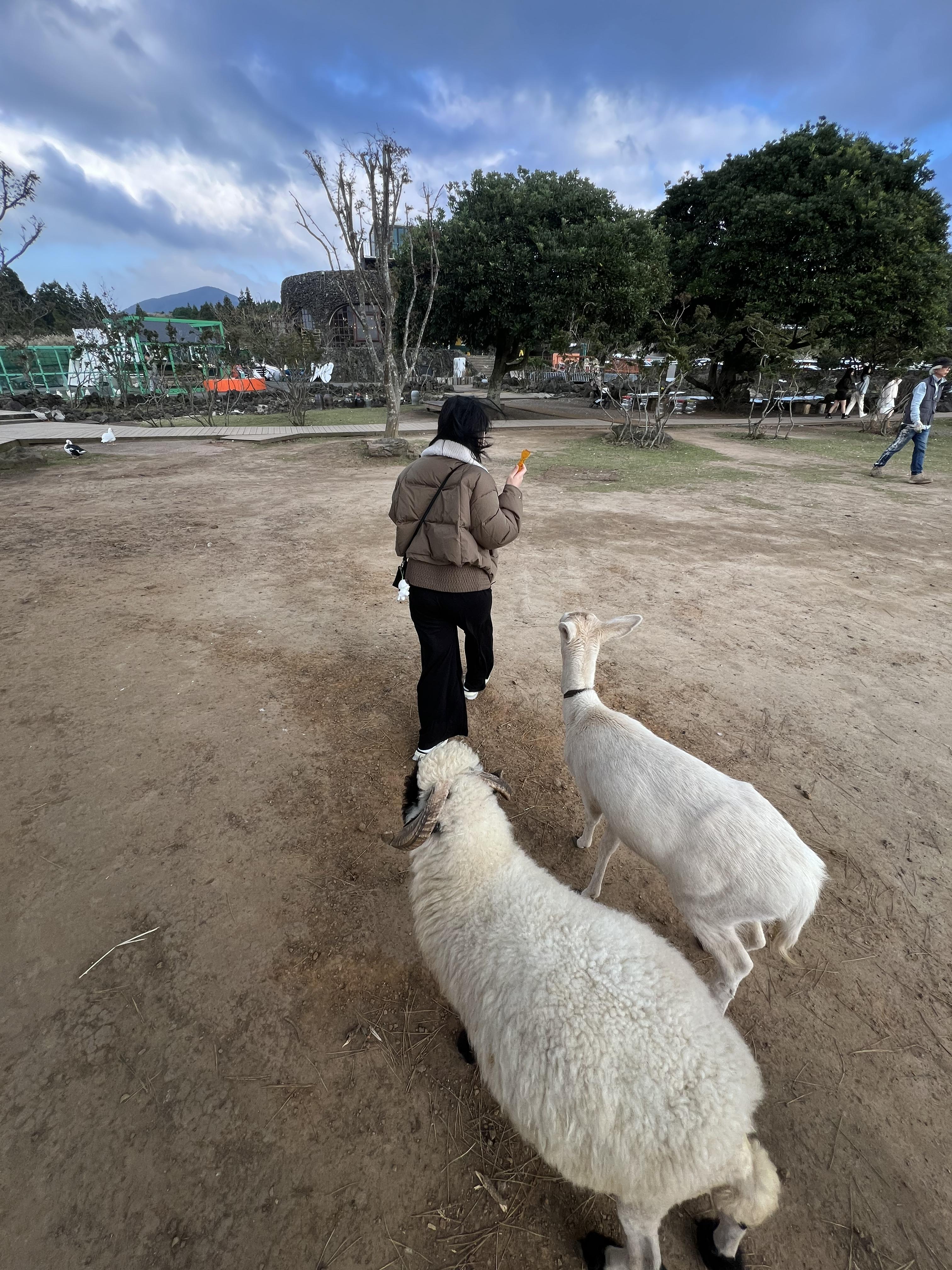 제주 새별프렌즈