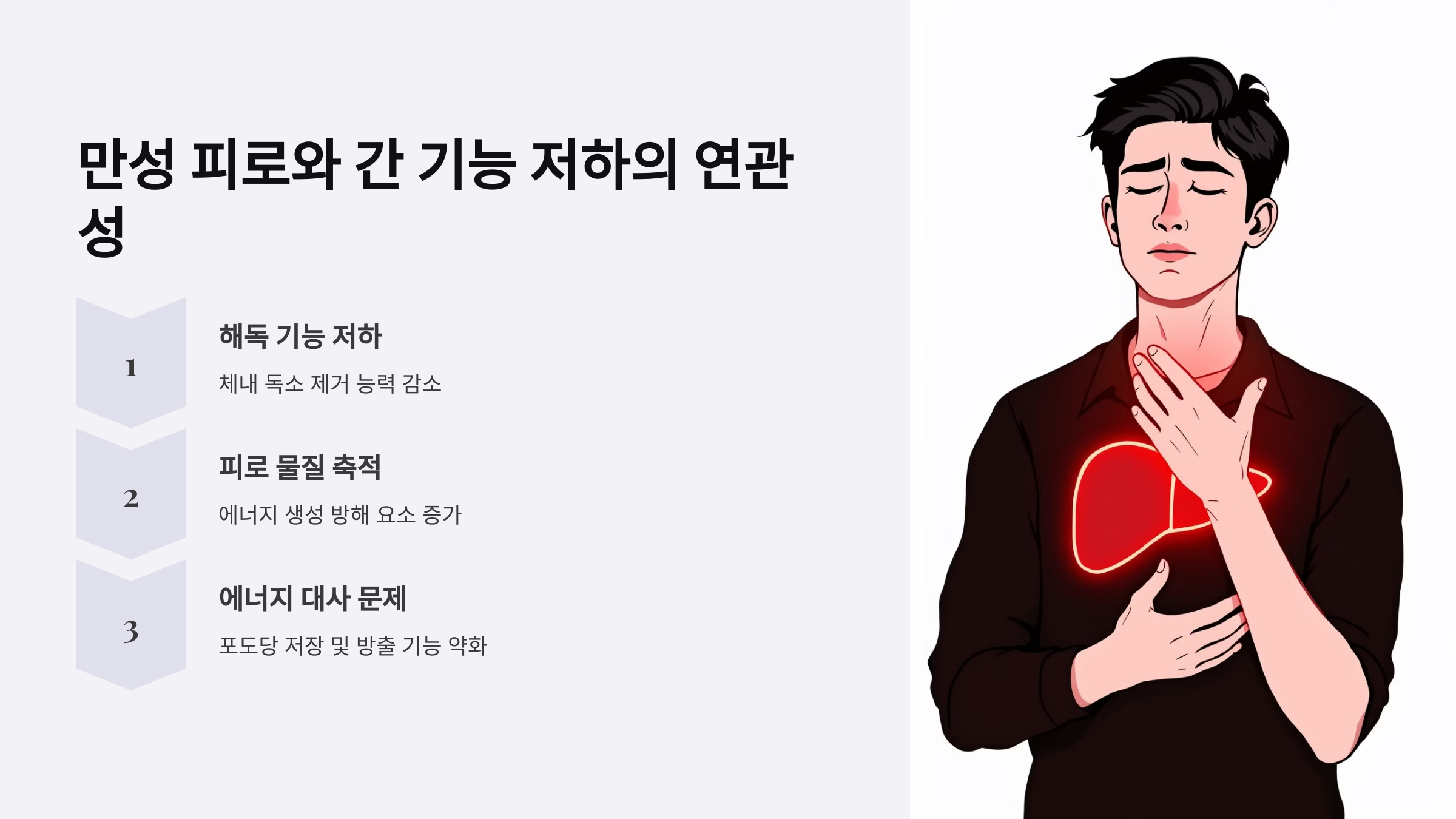 만성 피로와 간 기능 저하의 연관성