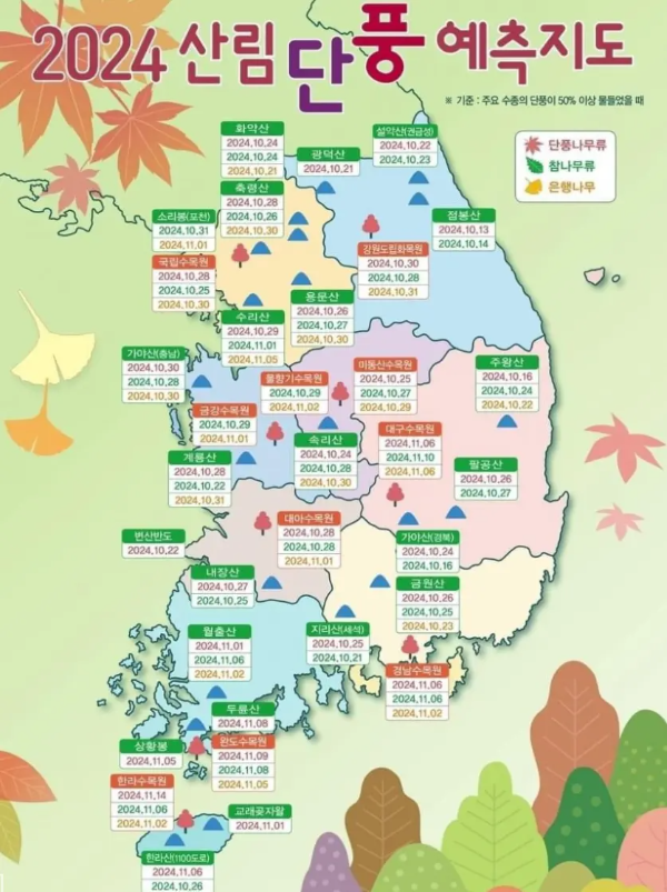 가을단풍