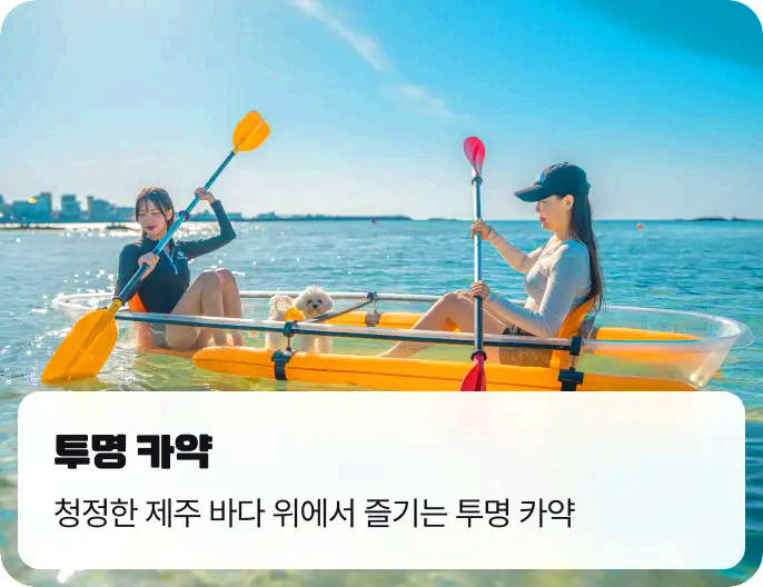 제주레저힐링축제