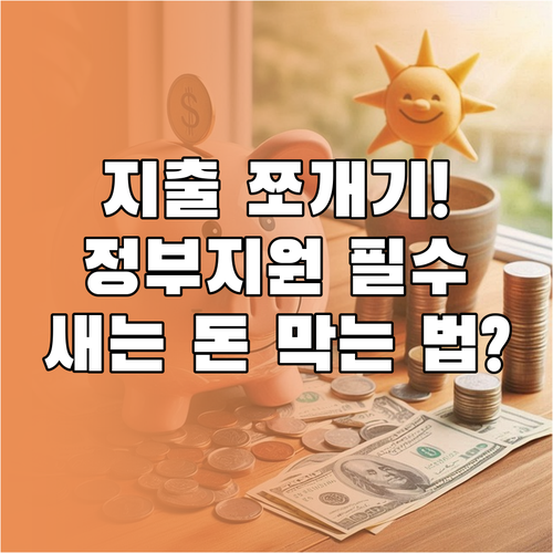 지출 관리 통장 쪼개기 정부 지원 완..