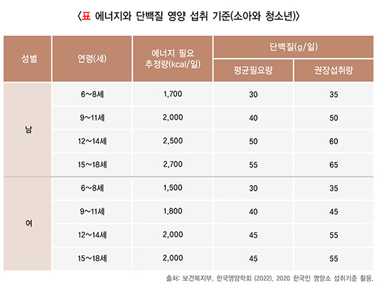 어린이들의 에너지와 단백질 영양 섭취 기준