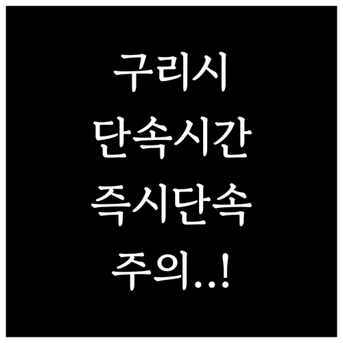 구리시 주정차 단속 알림 운영 시간과..