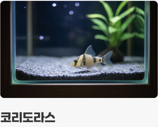 평화를 사랑하는 '최고의 룸메이트'