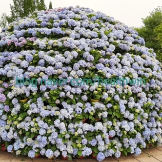 충남 산정호수공원