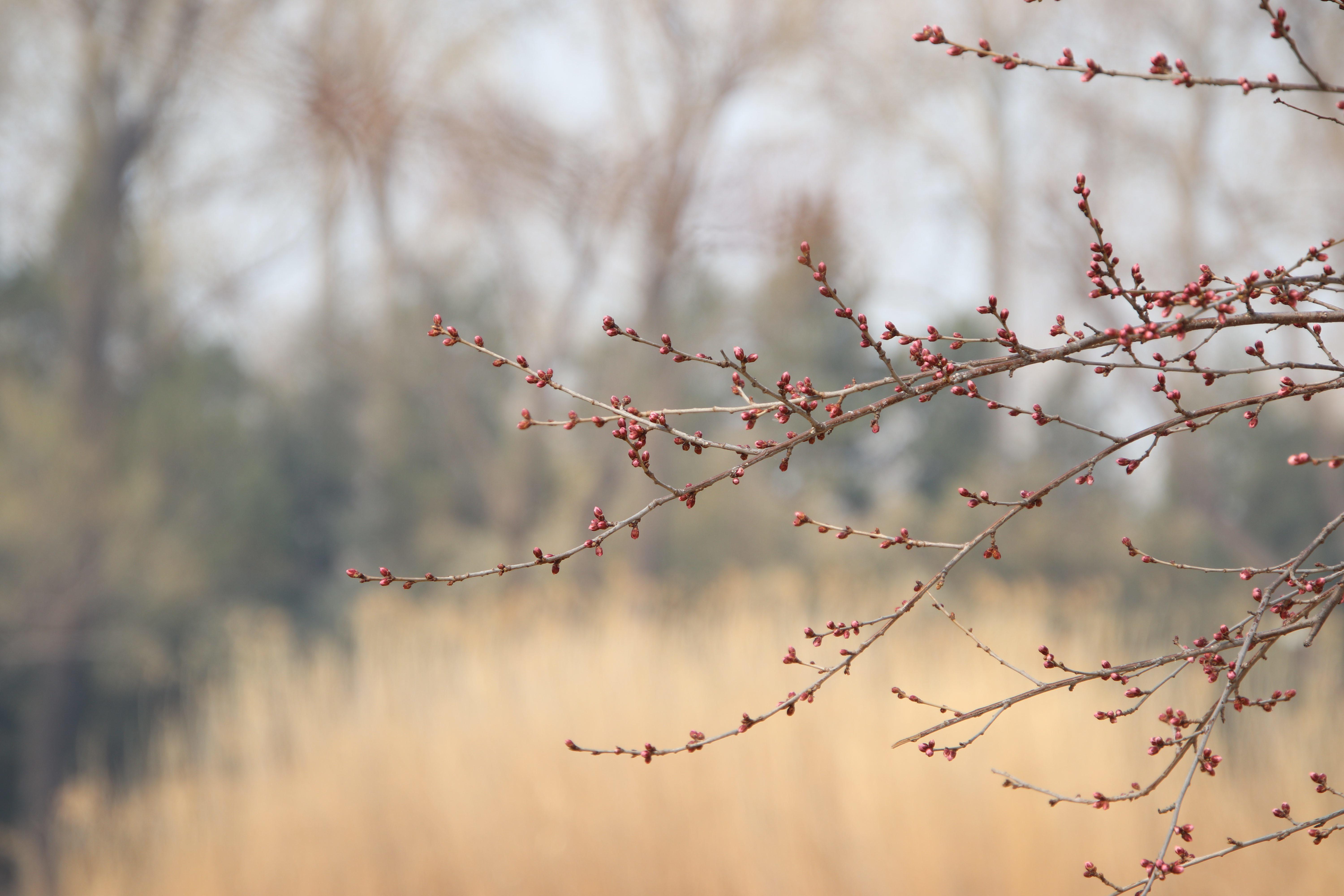 갱년기 증상 완화, 약 말고 먼저 해볼 수 있는 관리 방법