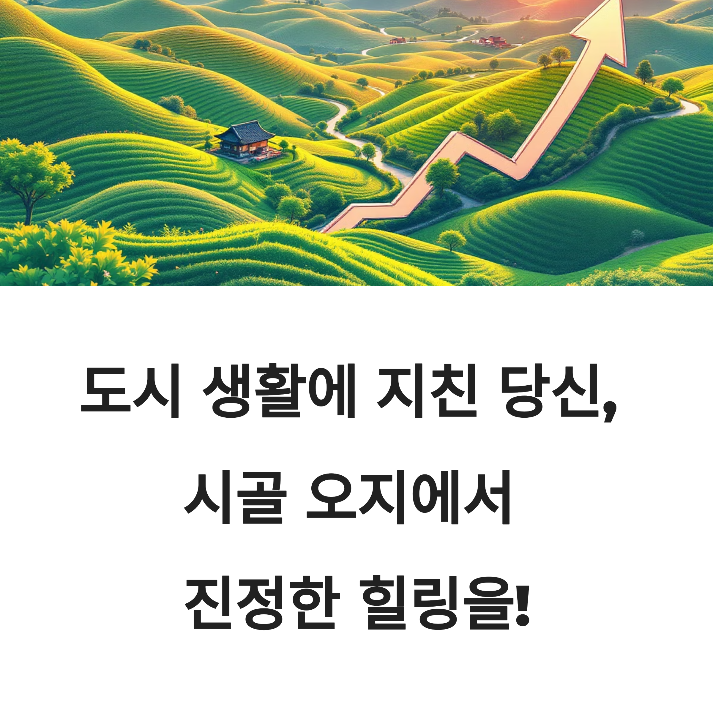 오지 여행지