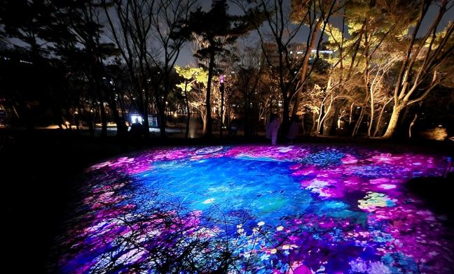 창경궁 물빛연화 관람 꿀팁(입장료,관람시간,추천코스)