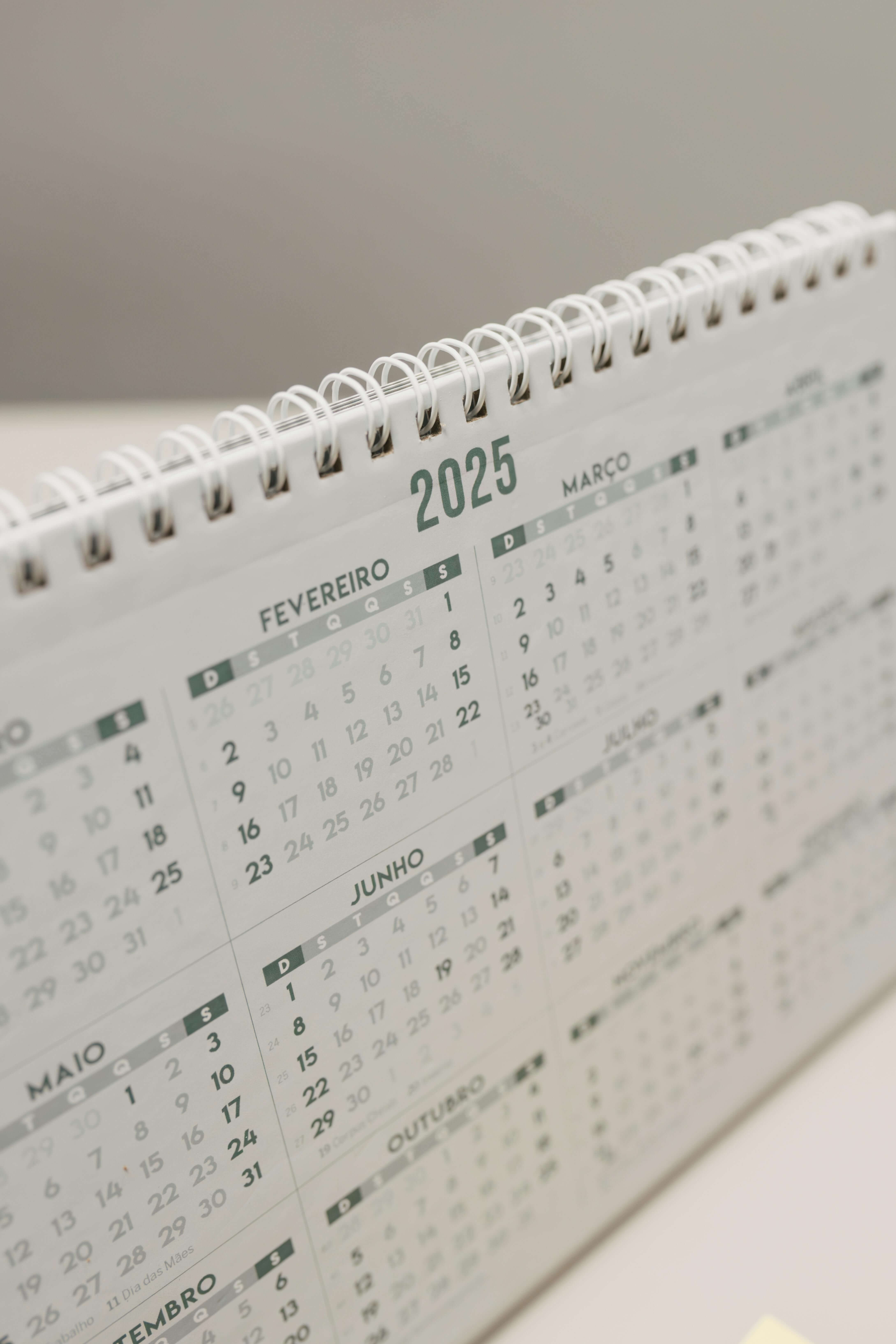 2025 을사년 토정비결 운세보기 무료 신년운세 사이트