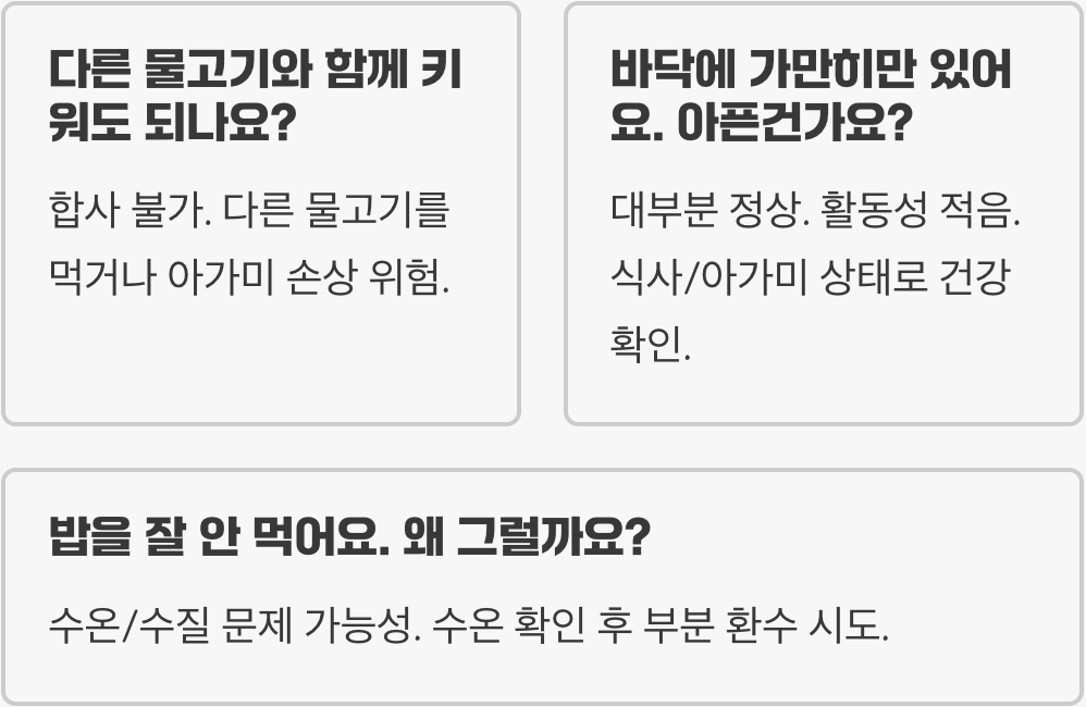 우파루파 키우기 A to Z (사육장&amp;#44; 먹이&amp;#44; 온도 관리)