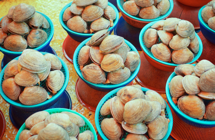 부산시장 관련 사진