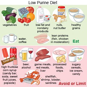 통풍과 요산 수치를 안정화하는 식단 관리의 핵심 원칙과 실천 기준