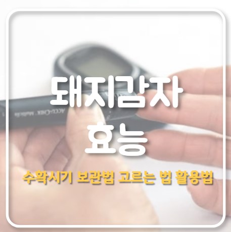 효능