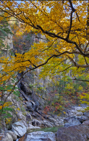 설악산