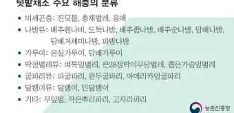 텃밭 해충 대처 진딧물 총채벌레 응애 노린재 방제_5