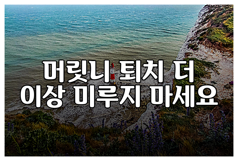 머릿니 퇴치 더 이상 미루지 마세요