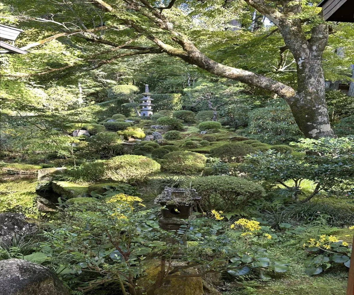 산젠인-이끼정원-풍경