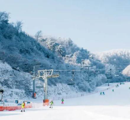 2025-2026 엘리시안 강촌 스키장 개장일 및 시즌권