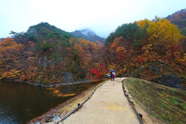 아름다운 시골 마을의 ​​벽화마을