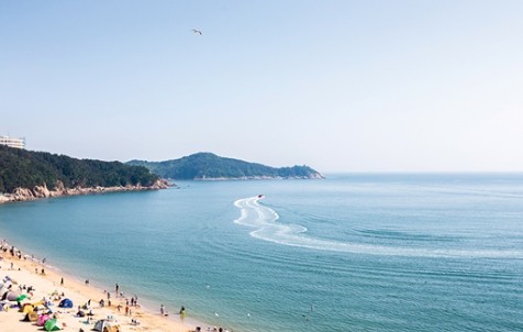 해수욕장-개장일