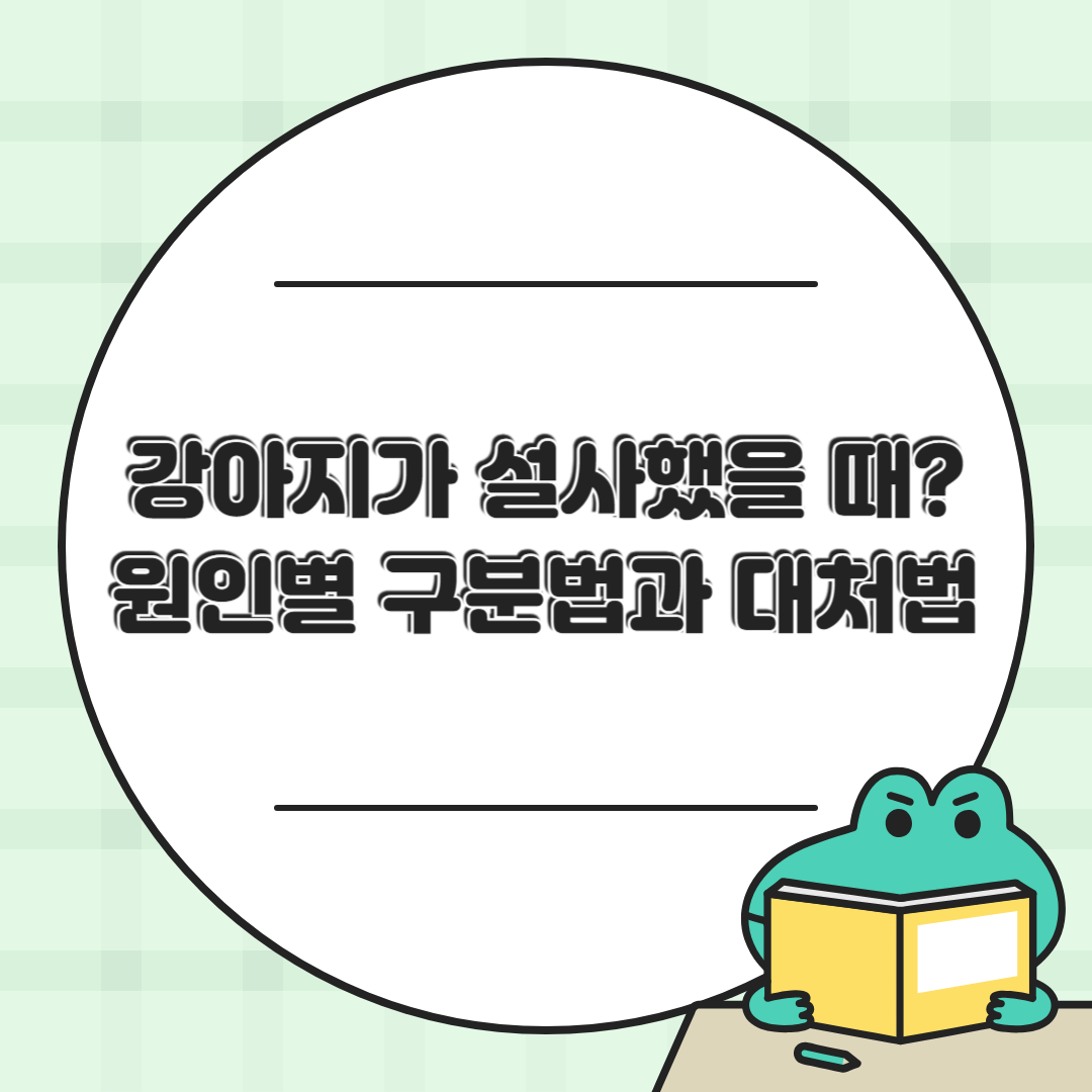 강아지 설사 했을 때 증상별 구분법 (급성/만성/스트레스성 등)