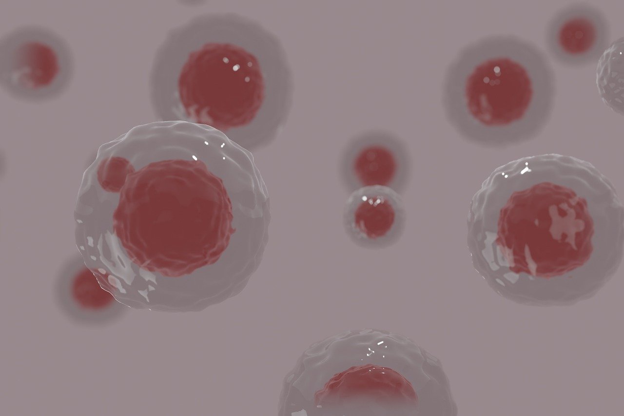 상피내암의 증상