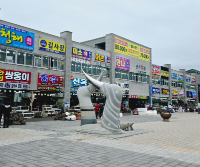 남당항새조개축제