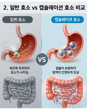 캡슐레이션효소-내돈내산-변비-효과-복용법-구입처-가격